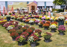 En natuurlijk Royal Van Zanten.